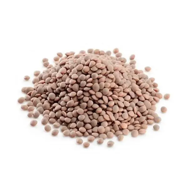 Masoor (Masr)