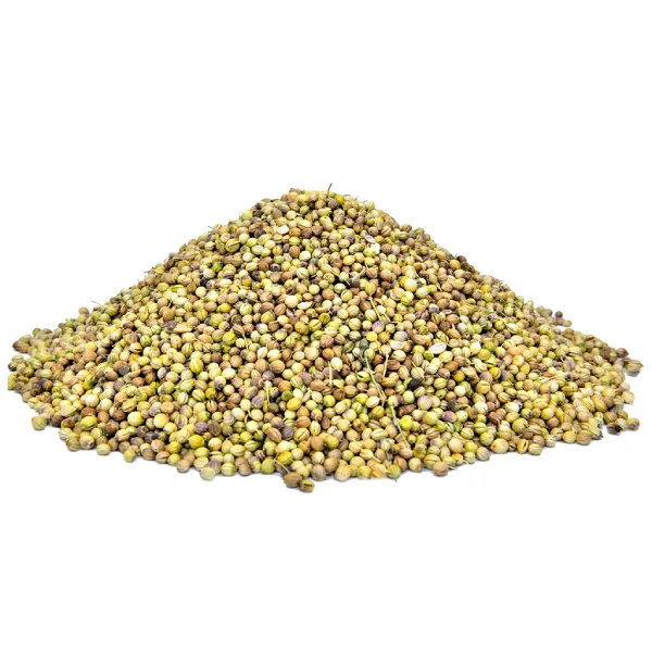 Dhania Sabut (Coriander)