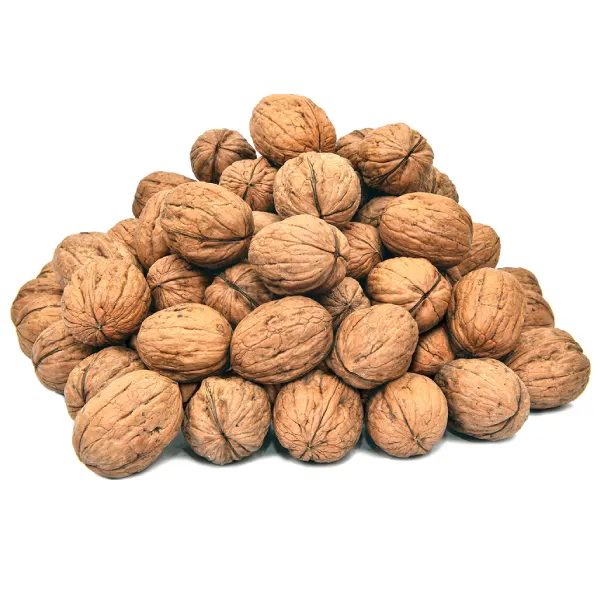 Walnuts (Akhrot)