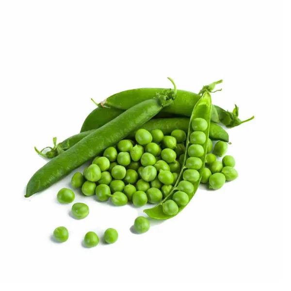 Matar (Pea)